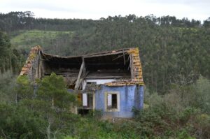 O IDEGA coordina DESP-OB, un proxecto estatal de investigación para afrontar o reto da España baleira(da)  
